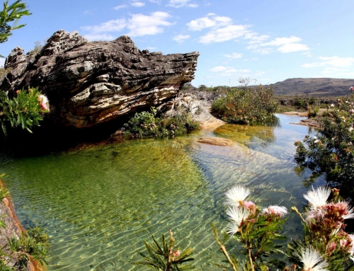 MPMG consegue na Justiça decisão favorável à proteção do Parque Estadual do Biribiri