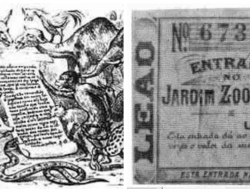 Jogo do bicho não pode ser protegido como patrimônio cultural