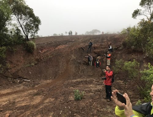 A pedido do Ministério Público, justiça determina que organizadores de enduro de motocross adotem medidas de urgência para recuperação do meio ambiente